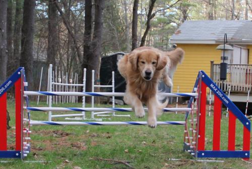 Practicing Agility